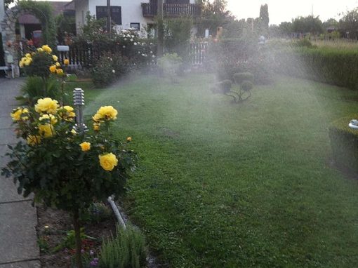 Sistemi navodnjavanja zelenih površina, postavljanje prirodne tepih trave i uređenje okućnica