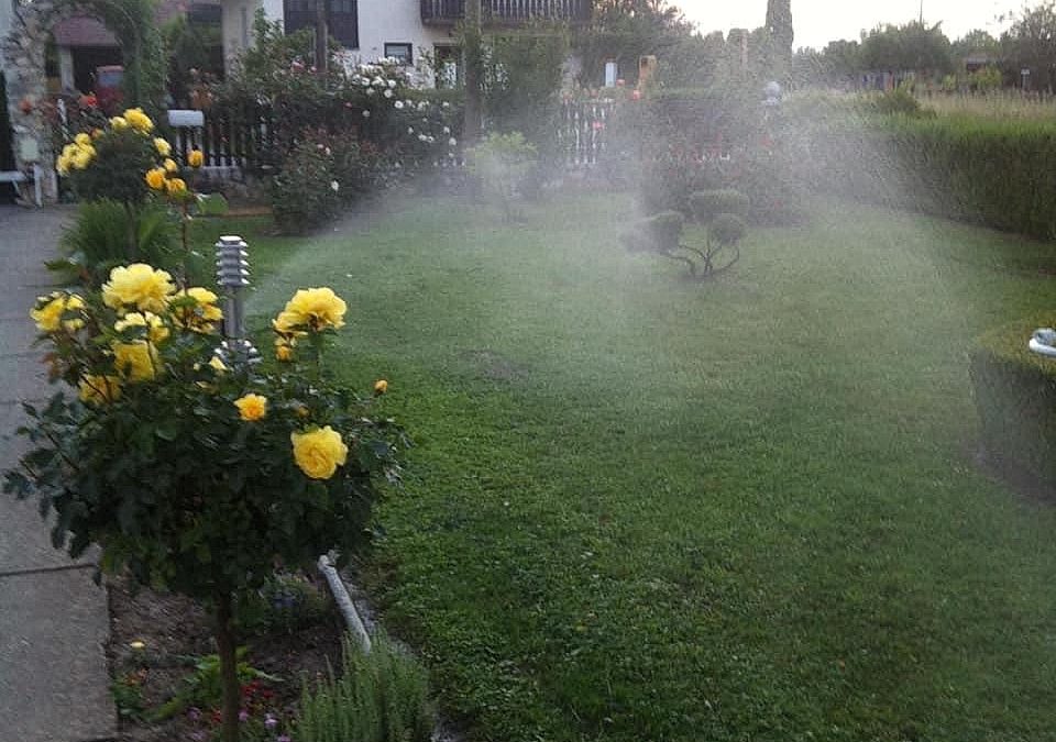 Sistemi navodnjavanja zelenih površina, postavljanje prirodne tepih trave i uređenje okućnica