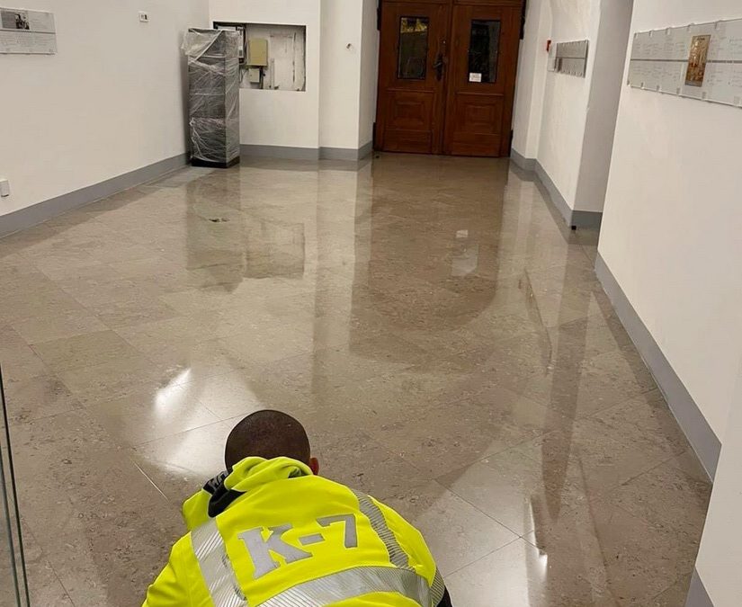 Grad Varaždin, Gradska vijećnica, Varaždin – čišćenje nakon obnove  i apliciranje zaštite za kamene podloge